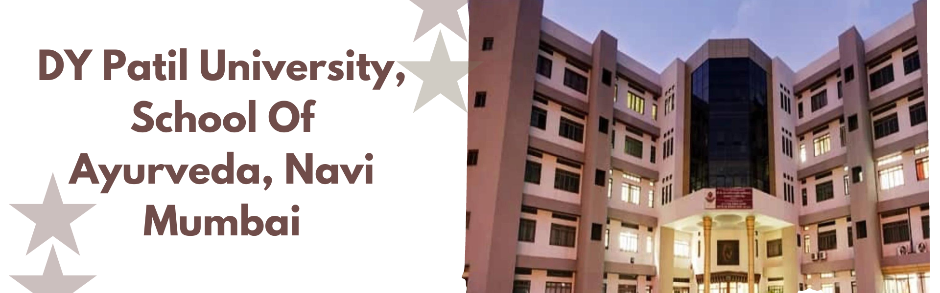 DY Patil University, School Of Ayurveda, Navi Mumbai